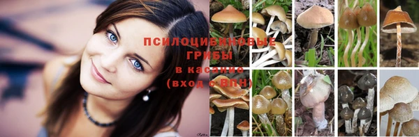 мескалин Семилуки