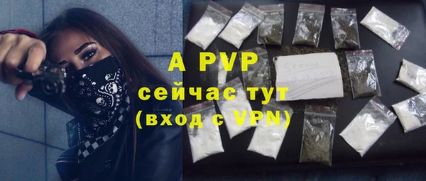 PSILOCYBIN Вязьма