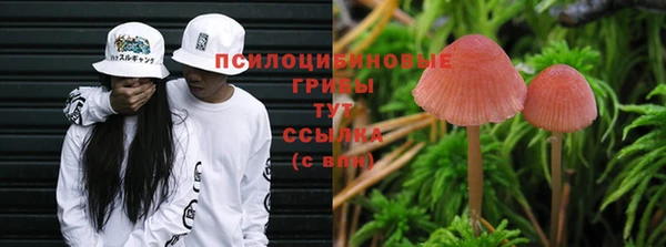 соль ск Володарск