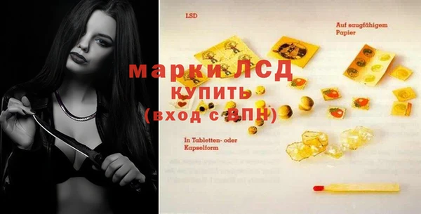 PSILOCYBIN Вязьма