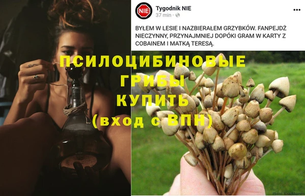 соль ск Володарск