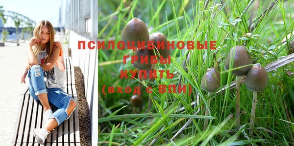 хмурый Вяземский
