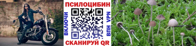 Псилоцибиновые грибы MAGIC MUSHROOMS  kraken сайт  Звенигород 